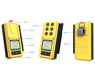 泵吸便攜式復(fù)合型氣體檢測(cè)儀 泵吸便攜式復(fù)合型氣體檢測(cè)儀