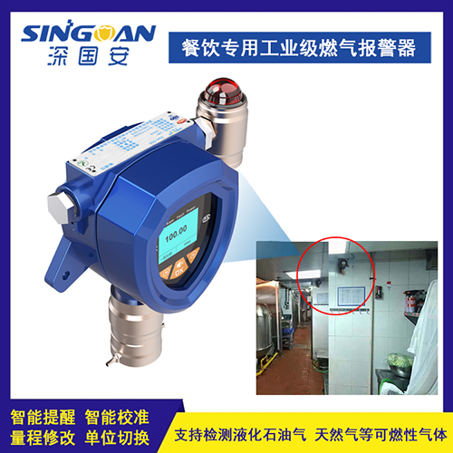 工業(yè)級(jí)燃?xì)鈭?bào)警器 工業(yè)級(jí)燃?xì)鈭?bào)警器