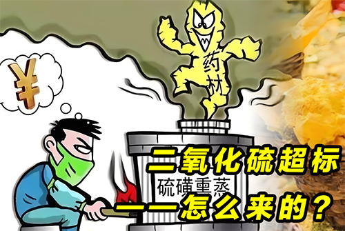 二氧化硫中毒 二氧化硫中毒