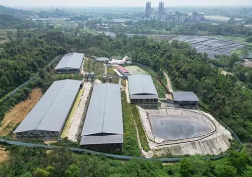 四川彭州市養(yǎng)豬場沼氣中毒 四川彭州市養(yǎng)豬場沼氣中毒