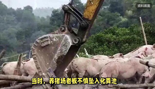 四川養(yǎng)殖場沼氣中毒 四川養(yǎng)殖場沼氣中毒