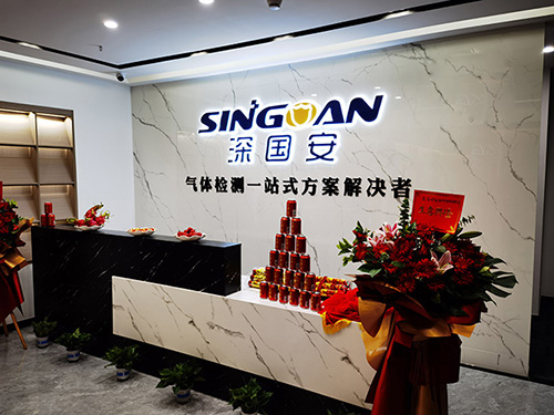 氣體檢測(cè)儀生產(chǎn)公司