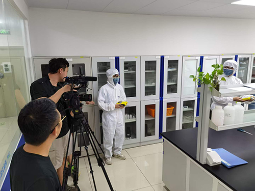 深國安氣體報(bào)警器 深國安氣體報(bào)警器