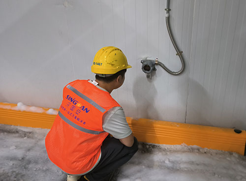 深國(guó)安固定式氣體檢測(cè)儀 深國(guó)安固定式氣體檢測(cè)儀