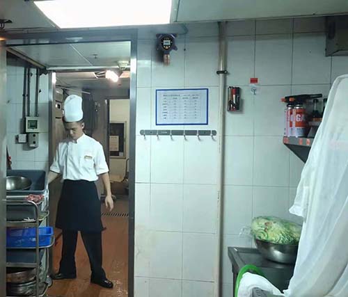 燃氣天然氣泄漏報警儀