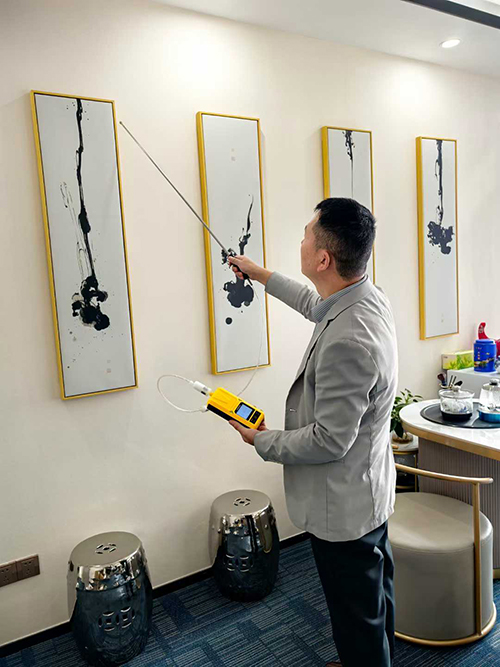 便攜式探桿式硒化氫檢測(cè)儀