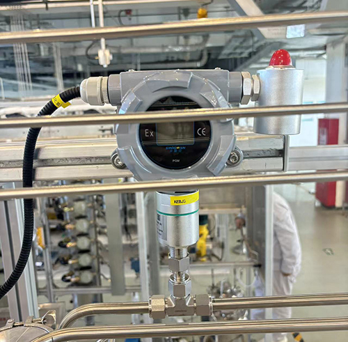 化學(xué)氣相沉積(CVD)硅烷檢測(cè)儀