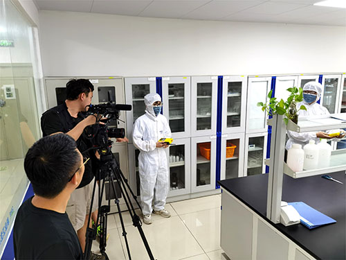 實(shí)驗(yàn)室溶劑便攜式氣體分析儀